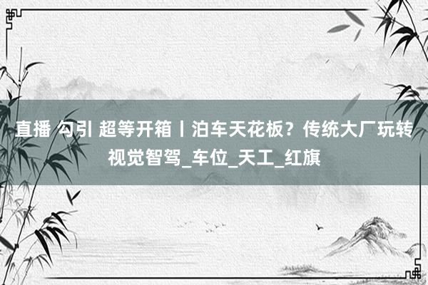 直播 勾引 超等开箱丨泊车天花板？传统大厂玩转视觉智驾_车位_天工_红旗