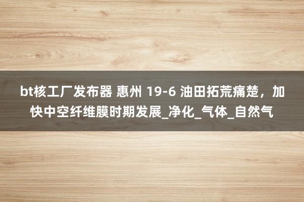 bt核工厂发布器 惠州 19-6 油田拓荒痛楚，加快中空纤维膜时期发展_净化_气体_自然气