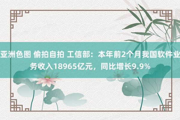 亚洲色图 偷拍自拍 工信部：本年前2个月我国软件业务收入18965亿元，同比增长9.9%