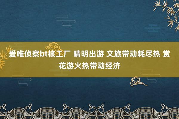 爰唯侦察bt核工厂 晴明出游 文旅带动耗尽热 赏花游火热带动经济
