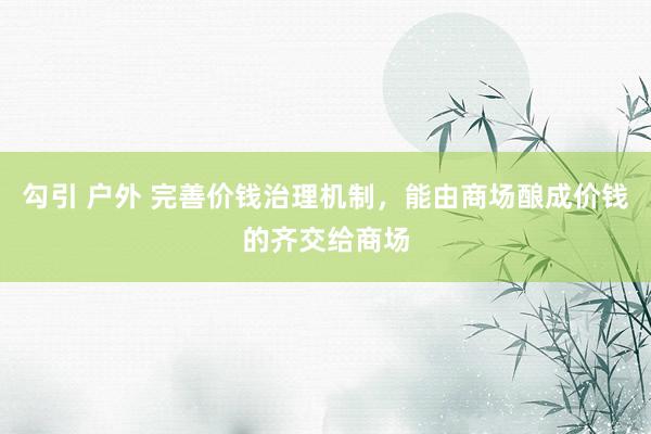 勾引 户外 完善价钱治理机制，能由商场酿成价钱的齐交给商场