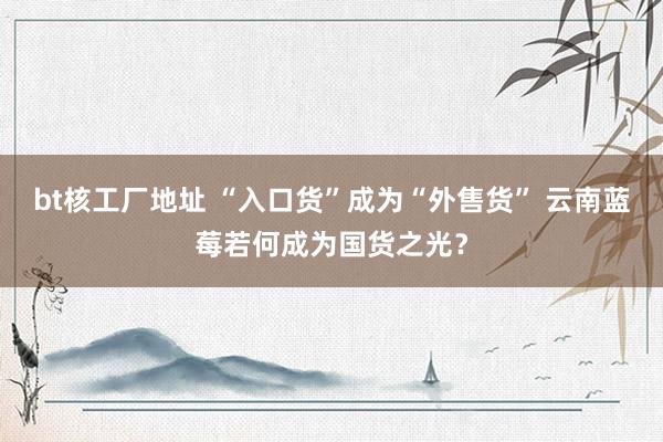bt核工厂地址 “入口货”成为“外售货” 云南蓝莓若何成为国货之光？