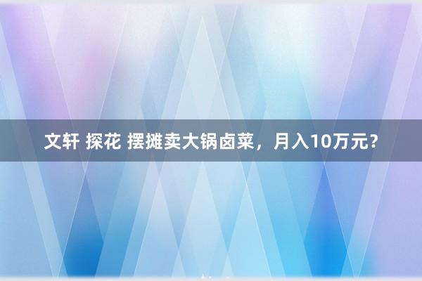 文轩 探花 摆摊卖大锅卤菜，月入10万元？