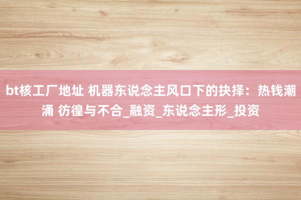 bt核工厂地址 机器东说念主风口下的抉择：热钱潮涌 彷徨与不合_融资_东说念主形_投资