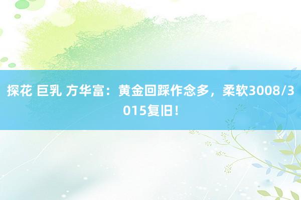 探花 巨乳 方华富：黄金回踩作念多，柔软3008/3015复旧！