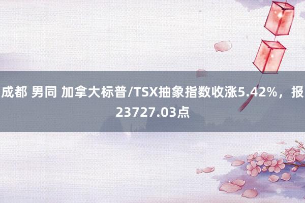 成都 男同 加拿大标普/TSX抽象指数收涨5.42%，报23727.03点