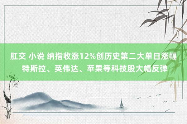 肛交 小说 纳指收涨12%创历史第二大单日涨幅 特斯拉、英伟达、苹果等科技股大幅反弹