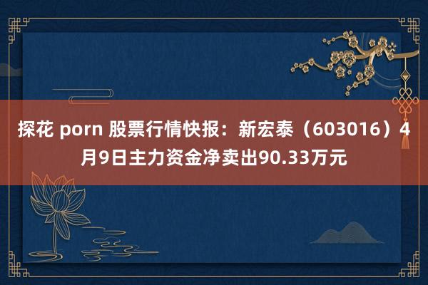 探花 porn 股票行情快报：新宏泰（603016）4月9日主力资金净卖出90.33万元