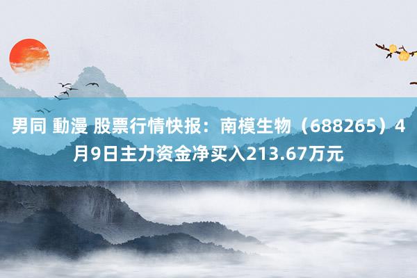 男同 動漫 股票行情快报：南模生物（688265）4月9日主力资金净买入213.67万元