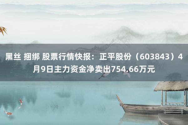 黑丝 捆绑 股票行情快报：正平股份（603843）4月9日主力资金净卖出754.66万元