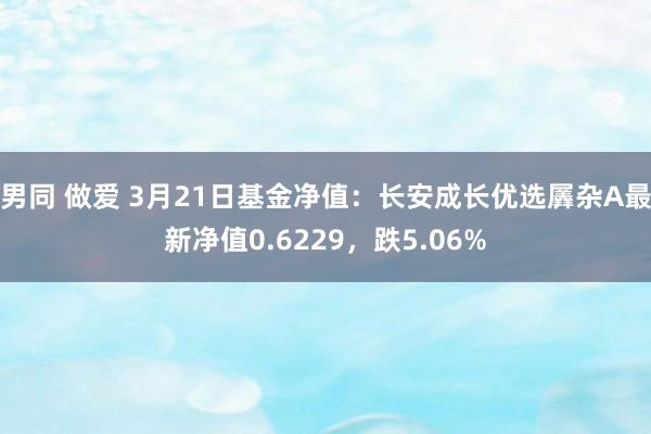 男同 做爱 3月21日基金净值：长安成长优选羼杂A最新净值0.6229，跌5.06%