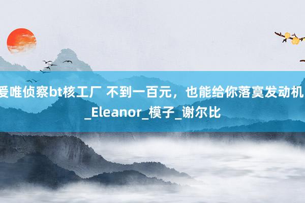 爰唯侦察bt核工厂 不到一百元，也能给你落寞发动机！_Eleanor_模子_谢尔比