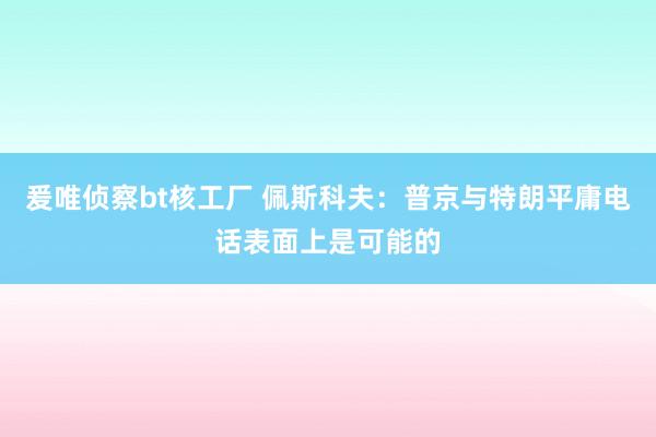 爰唯侦察bt核工厂 佩斯科夫：普京与特朗平庸电话表面上是可能的