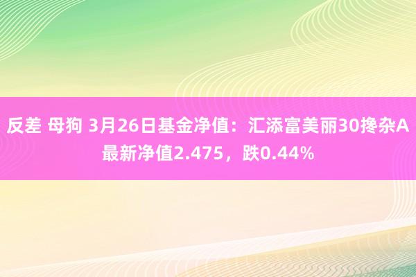 反差 母狗 3月26日基金净值：汇添富美丽30搀杂A最新净值2.475，跌0.44%