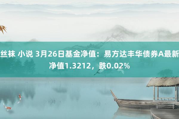 丝袜 小说 3月26日基金净值：易方达丰华债券A最新净值1.3212，跌0.02%