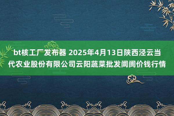 bt核工厂发布器 2025年4月13日陕西泾云当代农业股份有限公司云阳蔬菜批发阛阓价钱行情