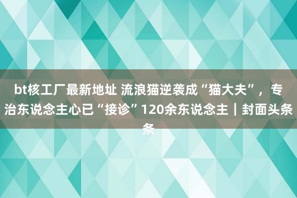 bt核工厂最新地址 流浪猫逆袭成“猫大夫”，专治东说念主心已“接诊”120余东说念主｜封面头条