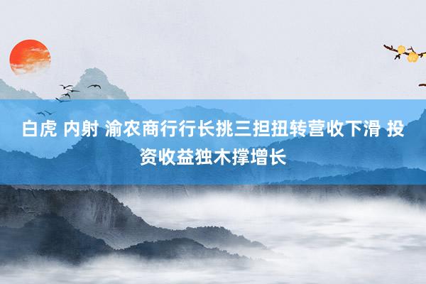 白虎 内射 渝农商行行长挑三担扭转营收下滑 投资收益独木撑增长