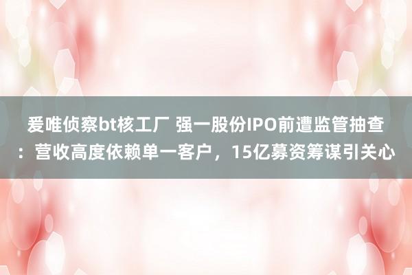 爰唯侦察bt核工厂 强一股份IPO前遭监管抽查：营收高度依赖单一客户，<a href=