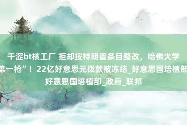 千涩bt核工厂 拒却按特朗普条目整改，哈佛大学打响不平“第一枪”！22亿好意思元拨款被冻结_好意思国培植部_政府_联邦