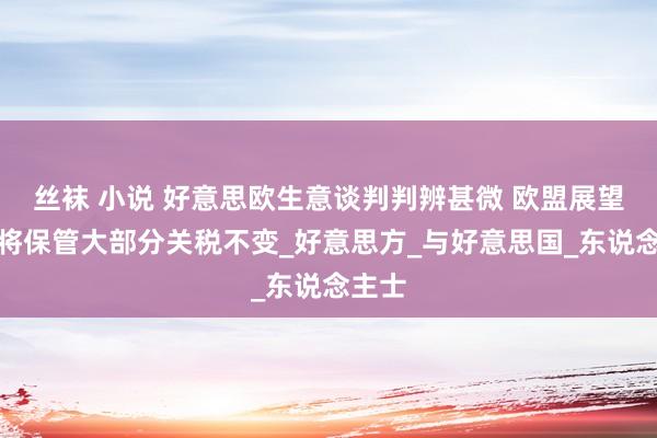 丝袜 小说 好意思欧生意谈判判辨甚微 欧盟展望白宫将保管大部分关税不变_好意思方_与好意思国_东说念主士