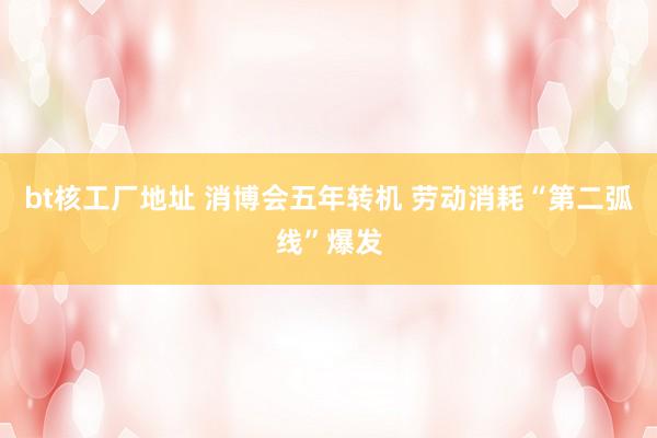 bt核工厂地址 消博会五年转机 劳动消耗“第二弧线”爆发