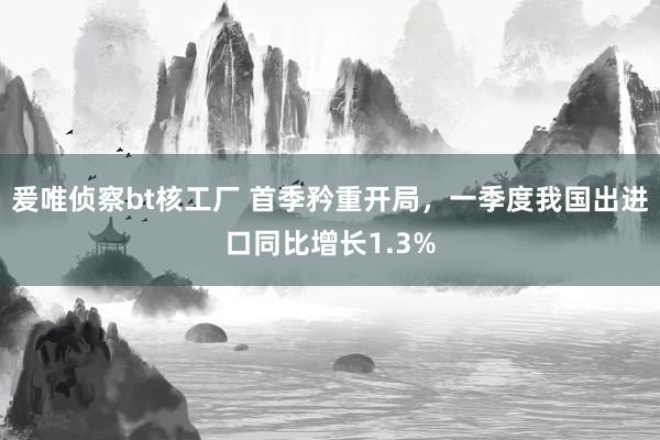 爰唯侦察bt核工厂 首季矜重开局，一季度我国出进口同比增长1.3%
