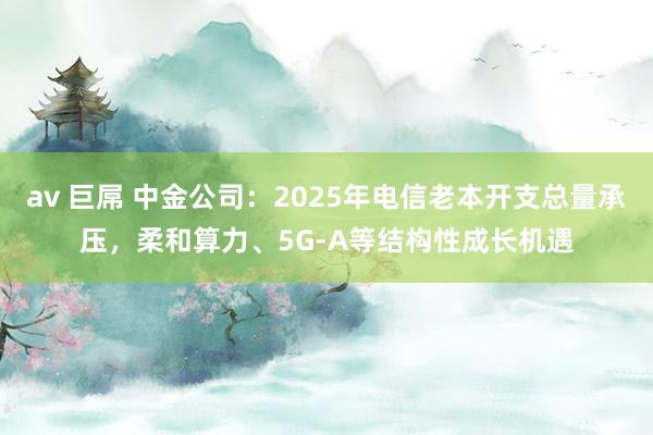 av 巨屌 中金公司：2025年电信老本开支总量承压，柔和算力、5G-A等结构性成长机遇