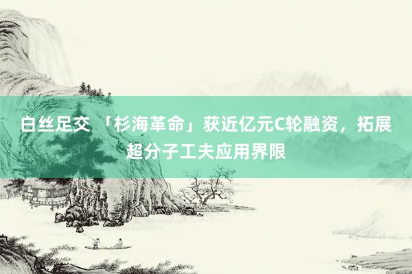 白丝足交 「杉海革命」获近亿元C轮融资，拓展超分子工夫应用界限