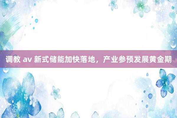 调教 av 新式储能加快落地，产业参预发展黄金期