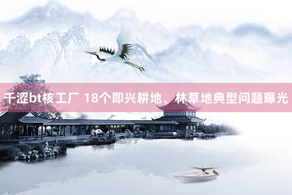 千涩bt核工厂 18个即兴耕地、林草地典型问题曝光