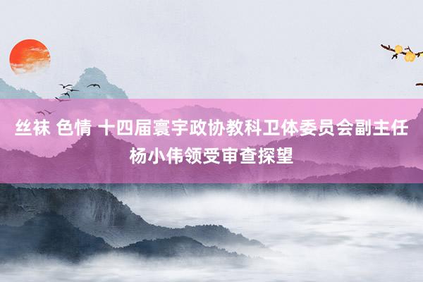 丝袜 色情 十四届寰宇政协教科卫体委员会副主任杨小伟领受审查探望