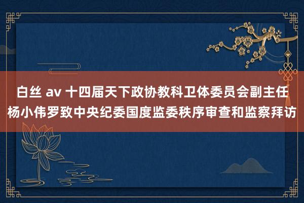 白丝 av 十四届天下政协教科卫体委员会副主任杨小伟罗致中央纪委国度监委秩序审查和监察拜访