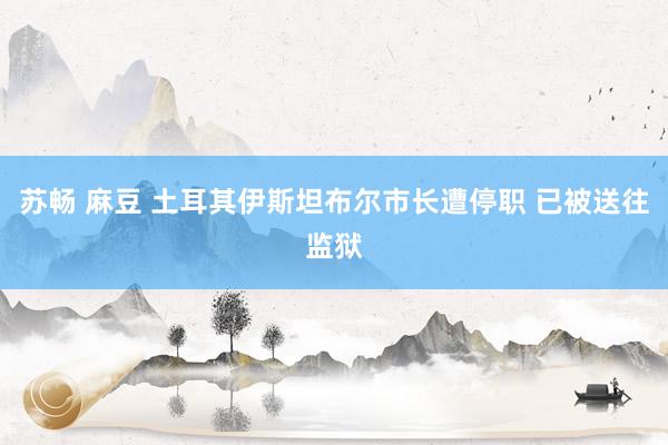 苏畅 麻豆 土耳其伊斯坦布尔市长遭停职 已被送往监狱