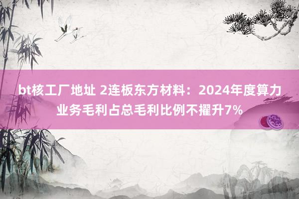 bt核工厂地址 2连板东方材料：2024年度算力业务毛利占总毛利比例不擢升7%