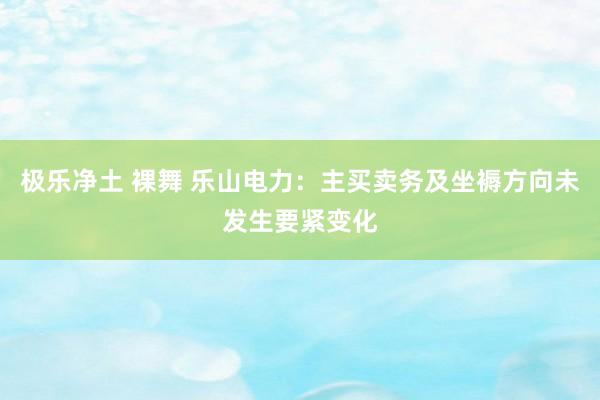 极乐净土 裸舞 乐山电力：主买卖务及坐褥方向未发生要紧变化