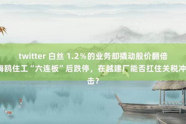 twitter 白丝 1.2％的业务却撬动股价翻倍，海鸥住工“六连板”后跌停，在越建厂能否扛住关税冲击？