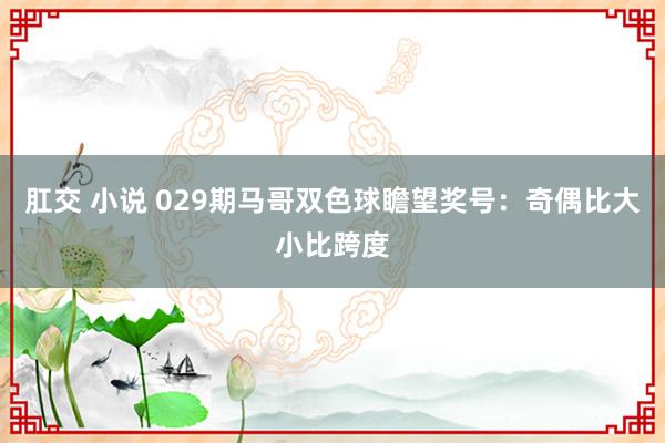 肛交 小说 029期马哥双色球瞻望奖号：奇偶比大小比跨度