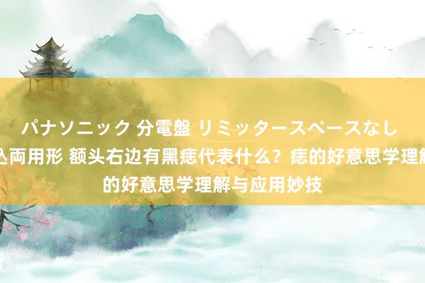 パナソニック 分電盤 リミッタースペースなし 露出・半埋込両用形 额头右边有黑痣代表什么？痣的好意思学理解与应用妙技